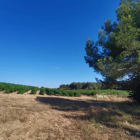 La Du Saunei Castelnau-de-Guers