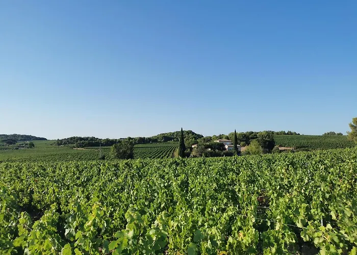 La Du Saunei 3*